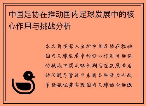 中国足协在推动国内足球发展中的核心作用与挑战分析